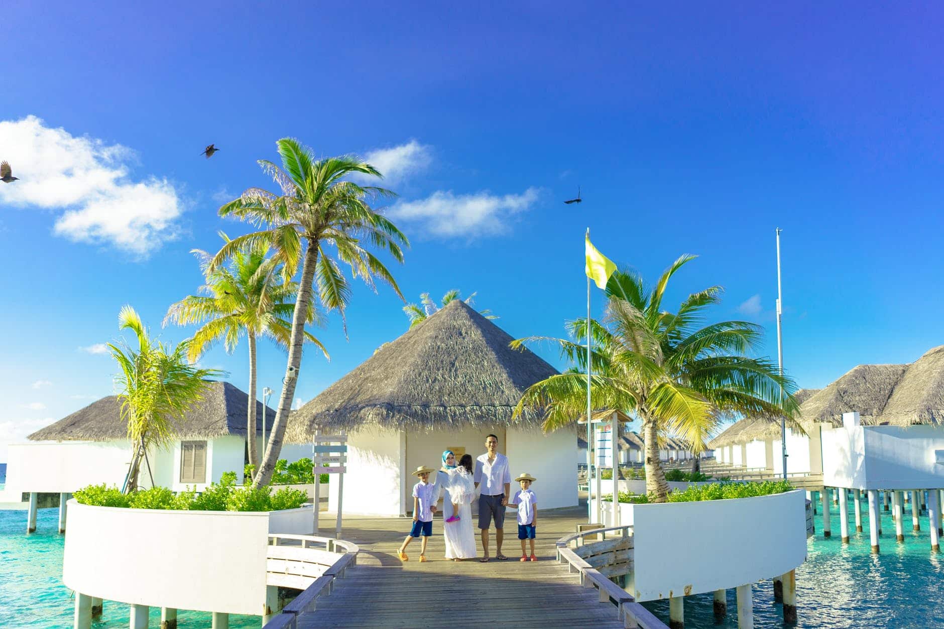 green palm trees and white gazebo