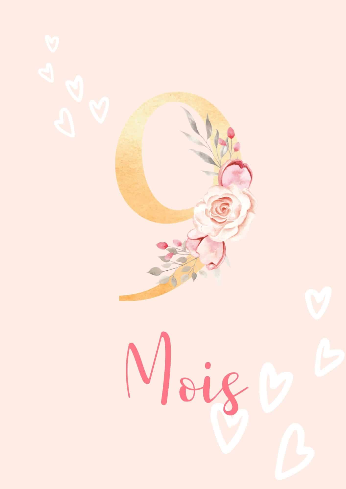 journal suivi grossesse